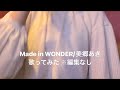 Made in WONDER/美郷あき【カラオケ廃人が歌ってみた 編集なしそのまま】