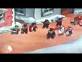 ذكريات مسلسل كاليميرو انتاج شركه هديل