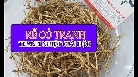 Rễ Cỏ Tranh | Công dụng của rễ cỏ tranh