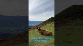 #shorts Parres, Principality of Asturias, Spain