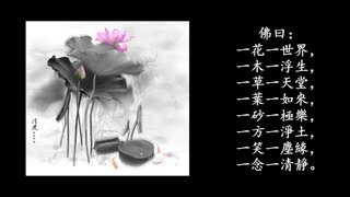 齊豫《蓮花處處開》 一花一淨土一土一如來... *•