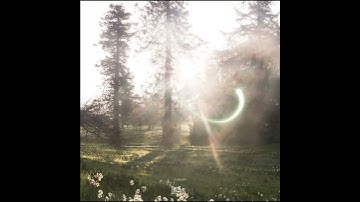 سُورة ال عمران💟. #قرآن #سورة #دويتو #اكسبلور #تيك_توك #fpy #ارح_قلبك #اكتب_شي_تؤجر_عليه