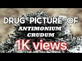 Drug picture of antimonium crudum