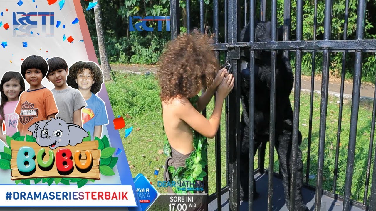 BUBU - Rimba Menyelamatkan Gorila [5 OKTOBER 2017]