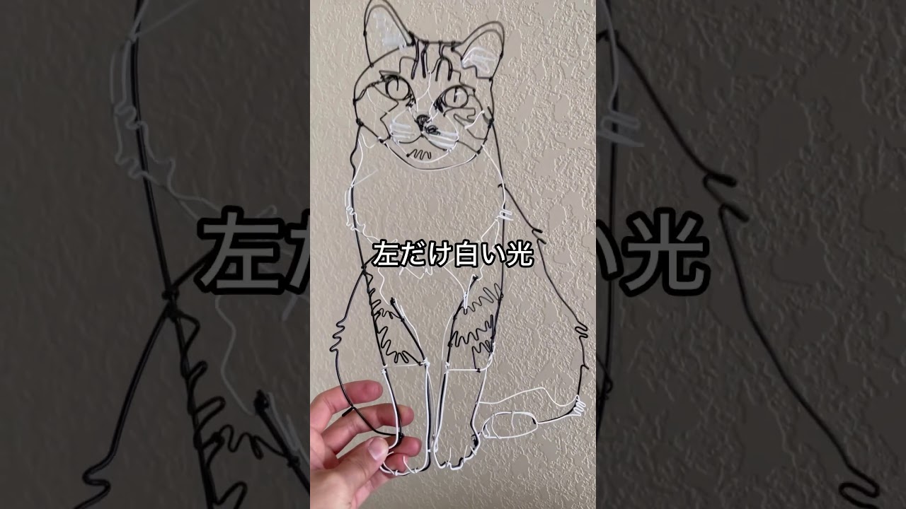 サプライズ⁉️】こっそり愛猫再現！写真からネコワイヤーアート/cat