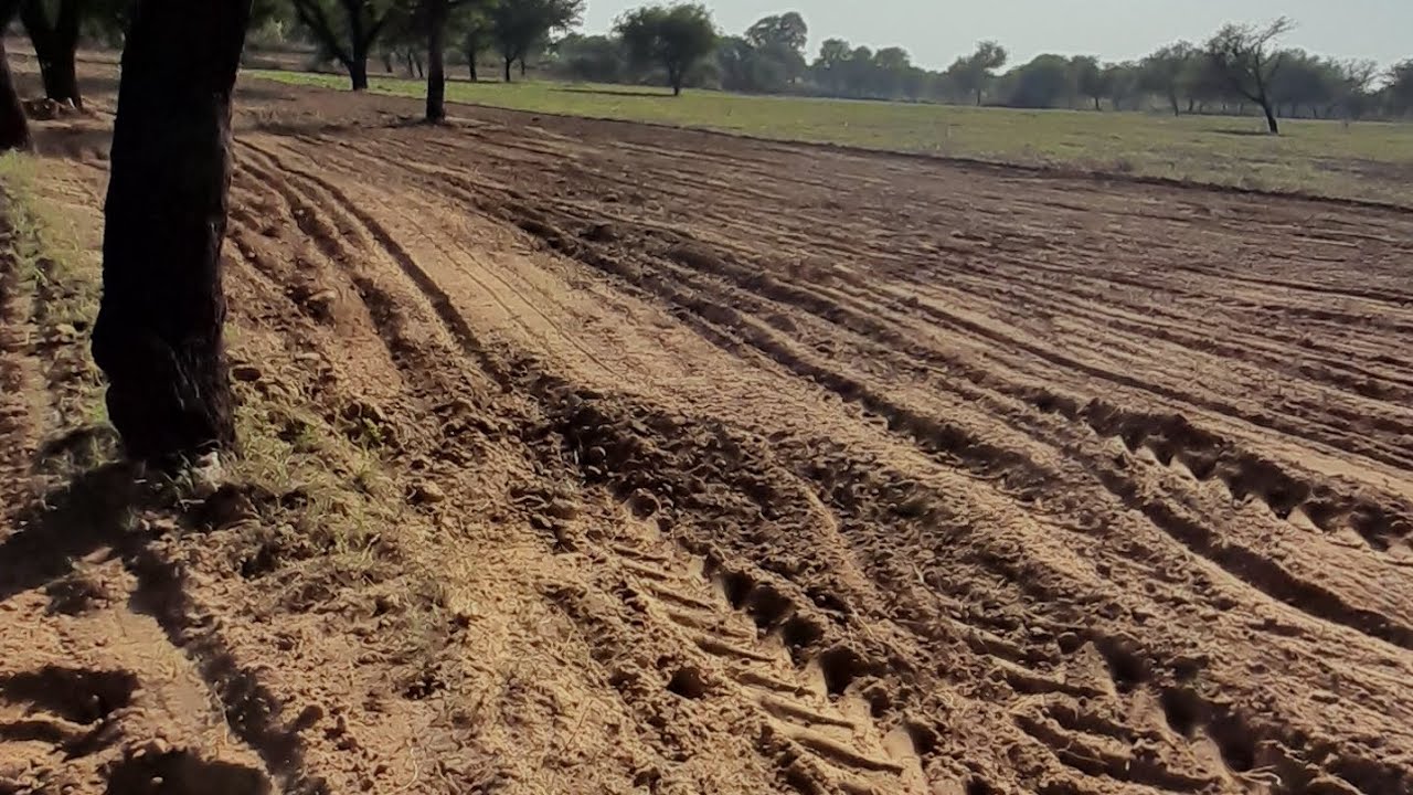 Job costing in tally prime 