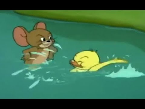 [funny cartoons] Tom and Jerry - Funny Duck - Cartoons For Kids 