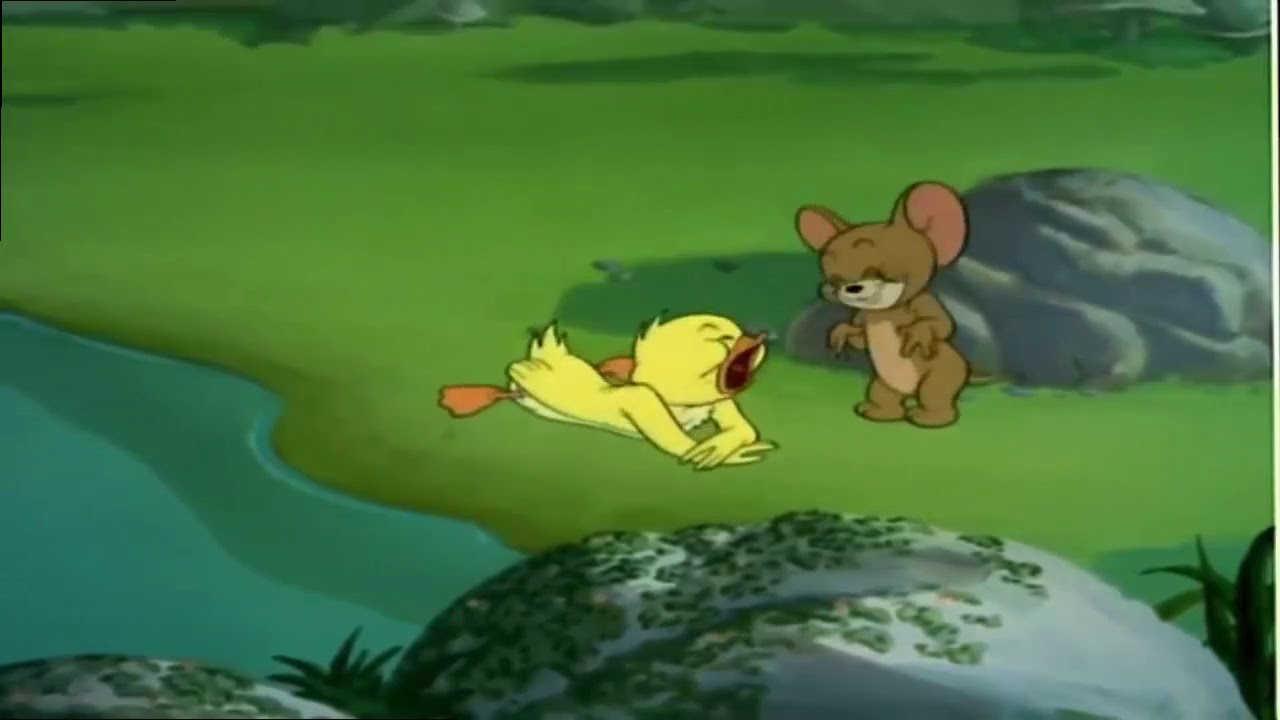 Tom and Jerry – Funny Duck – Cartoons For Kids