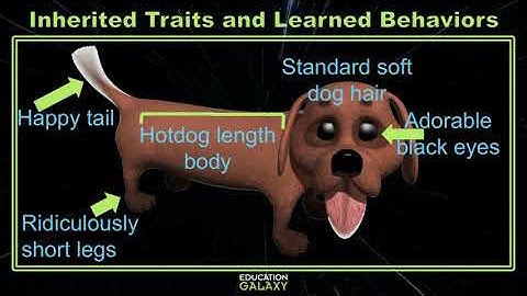 5th Grade - Science - Inherited Traits and Learned Behaviors - Topic Overview