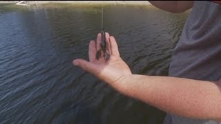 How To Fish The Yum Craw Papi | Bass Fishing