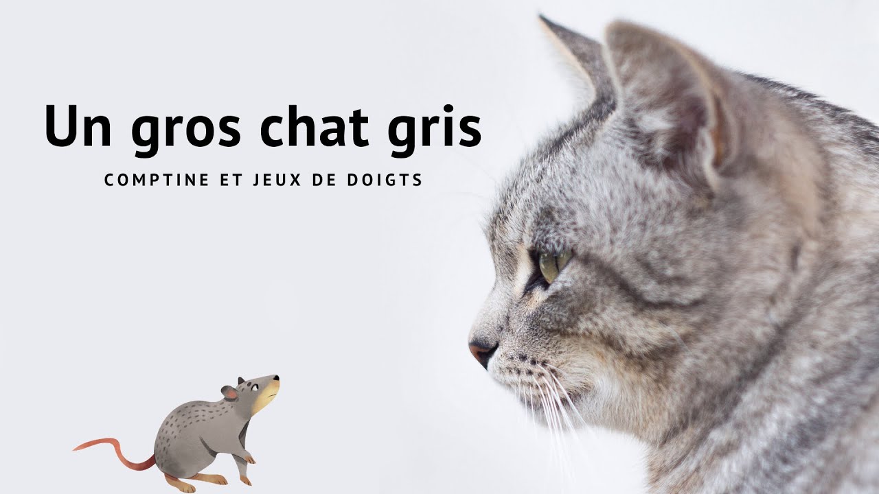 Comptines Et Jeux De Doigts Un Gros Chat Gris Nurseries And Finger Games Youtube