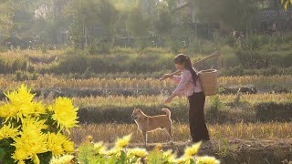 【二米炊烟】Chrysanthemums, cook into magical dishes! 把豆腐切成菊花，考驗刀功的中國菜餚