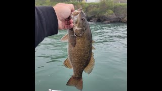 Lake Erie Bass Islands Smallmouth Fishing  May 2024