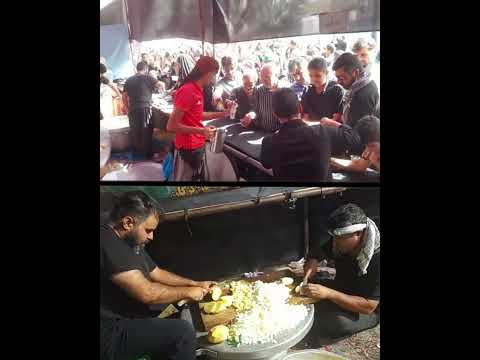 موکب احباب الرضا علیه السلام