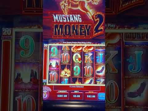 Pool Party - Bailando Salsa Rueda de Casino | Cozumel Casino & Salsa Fest 2021 #CCSF