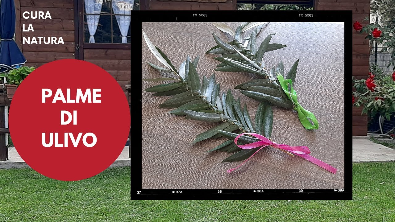 Palme di Pasqua, come fare le palme di ulivo intrecciate