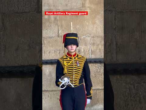 Royal Artillery Regiment guard | Looks sharp #kingsguard #horseguardsparade #londonwalk