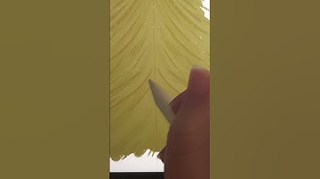 Christmas Tree Procreate drawing