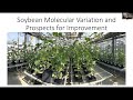 Soybean molecular variation  prospects for improvement  dr bob stupar  maes project seminar 2021