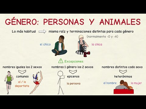 Aprender español: El género de personas y animales I (nivel intermedio)