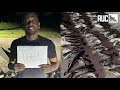 Boosie Goes On A Hot Streak Catches 142 Fish After 10 Hrs Of Fishing