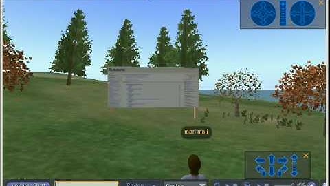 OpenSimulator