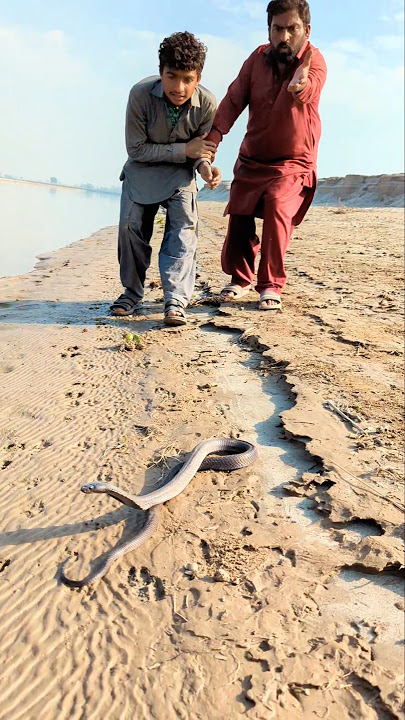 Larke Saamp Dhyke kar bhag geha