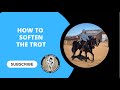  how to soften the trot