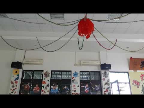 落花淚影