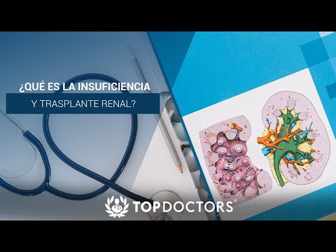 ¿Qué es la insuficiencia y trasplante renal?
