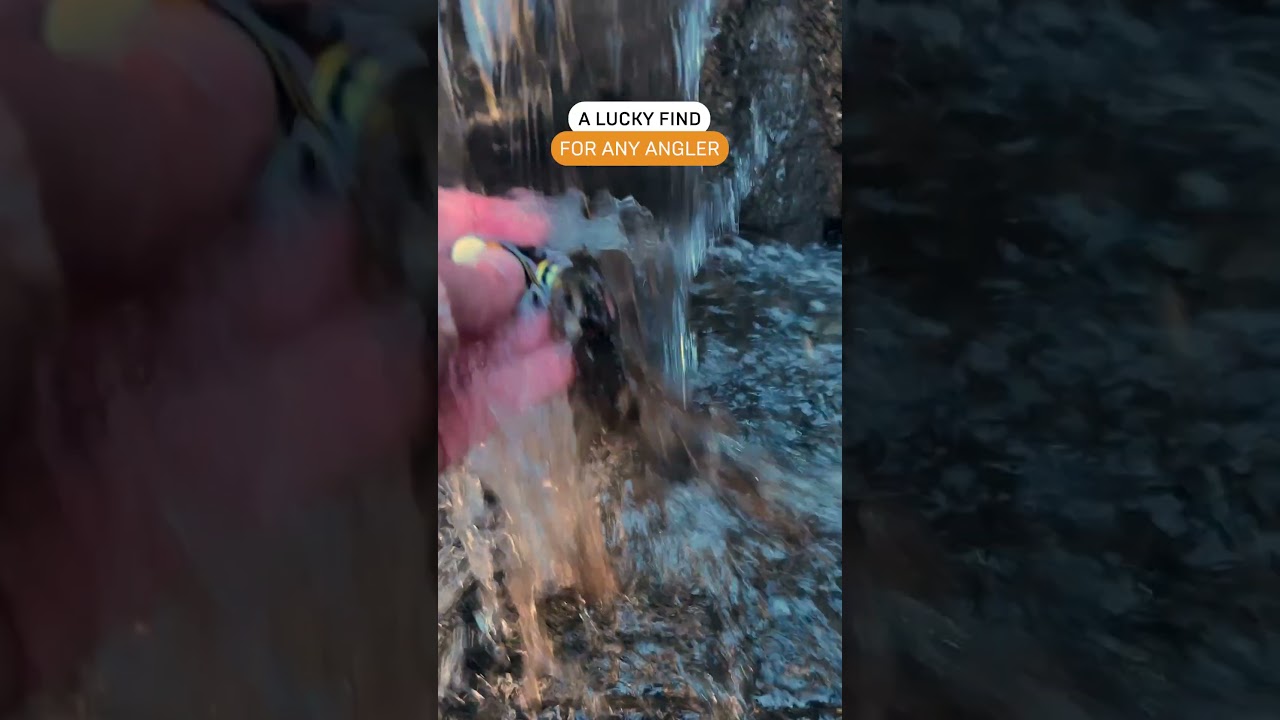 Found the PERFECT 5.3g Hornet Lure for Spring Fishing!