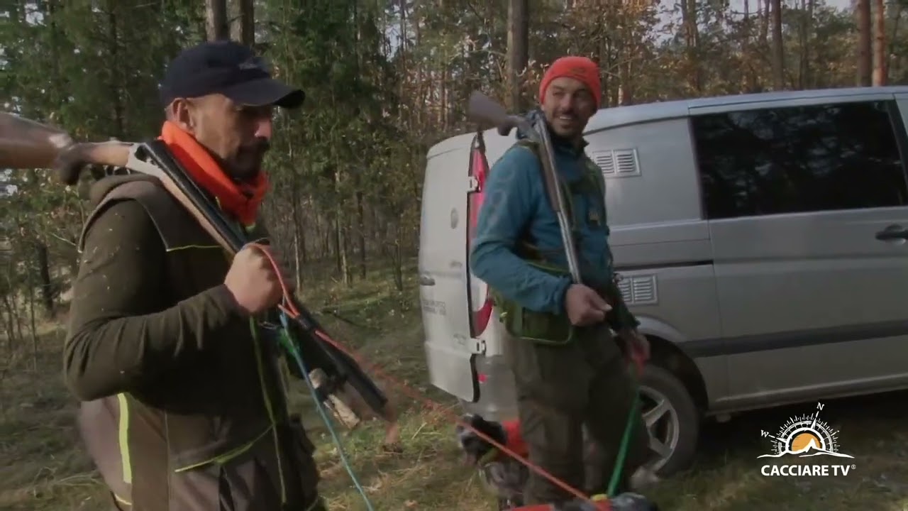 Caccia alla Beccaccia in Lituania 