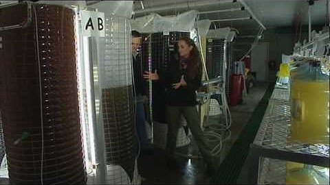 Escape Fishing with ET, Mussel Aquaculture, Series 11 Episode 9 Clip