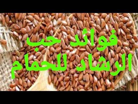 فوائد حب الرشاد للحمام