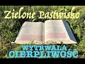 Zielone Pastwisko 24.05.2024 &quot;WYTRWAŁA CIERPLIWOŚĆ&quot; Jk 5, 9-12;Mk 10, 1-12 o. Piotr Kleszcz OFM Conv