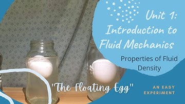 Density Experiment: The Floating Egg