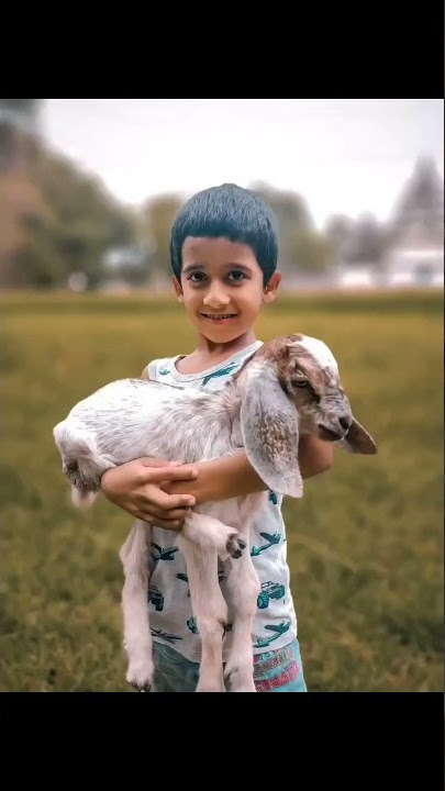 Goodboys × Eurythmics × Dia Diablo- Lose Control