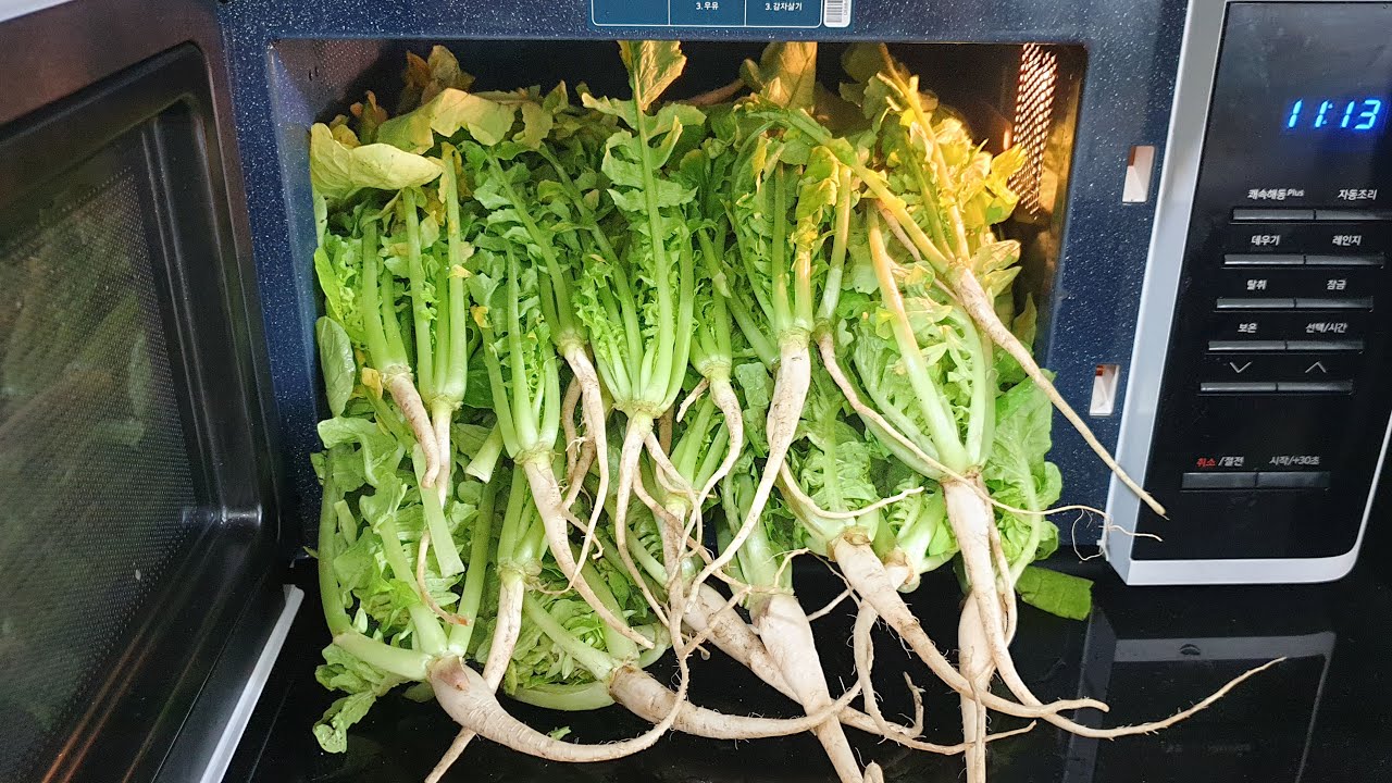 전자레인지 열무 된장무침