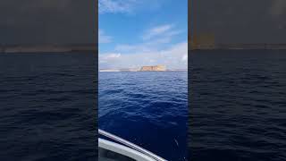 Filfla Malta ● The name is believed to come from felfel, the Arabic for a peppercorn 🏖