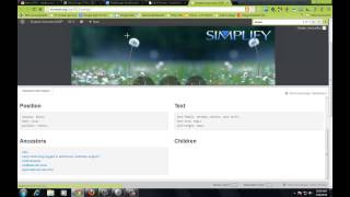 Web Design:Lesson 3b WP Edit CSS