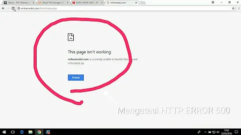 Mengatasi This page isn't working domain.com is currently unable to handle this request.