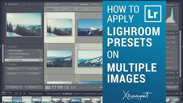 How to apply Lightroom Presets on Multiple Images | Quick Tip
