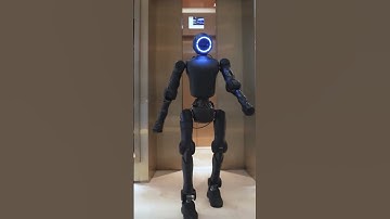 Humanoid Robots: From Companions to Superhuman