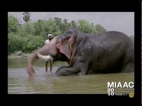 "The White Elephant" Trailer - MIAAC 2010