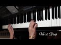 Դարձել է մութ գիշերվա պես իմ ուղղին-Nikol Galanteryan/piano cover Vard Grig