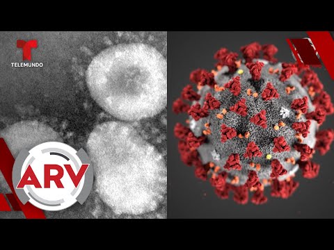 coronavirus:-esta-es-la-primera-foto-del-virus-desde-un-microscopio-|-al-rojo-vivo-|-telemundo