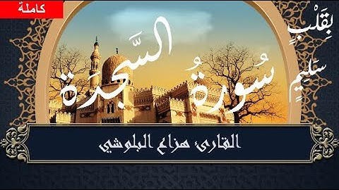 سورة السجدة | القارئ هزاع البلوشي