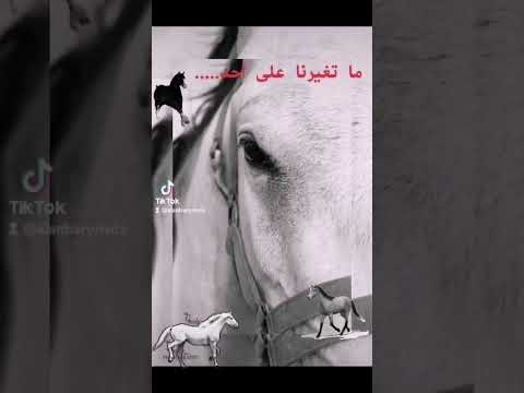 ما تغيرنا على احد 
