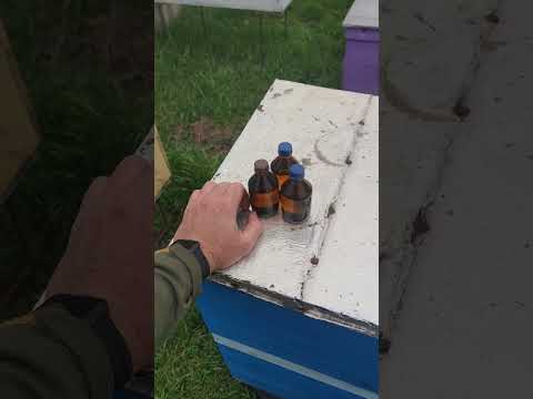 ОПОЗДАЛ С ПРОФИЛАКТИКОЙ