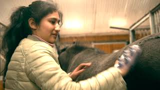 Stor HELT MED-satsing i Drammen - ordføreren besøker Garås hestesenter